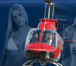 Helicopter and professional model
